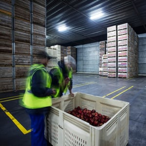 Storage-Operations-CanadaGAP