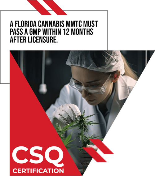 florida_cannabis_gmp_audit florida_cannabis_gmp_audit