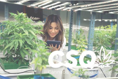 gmp_audit_for_cannabis